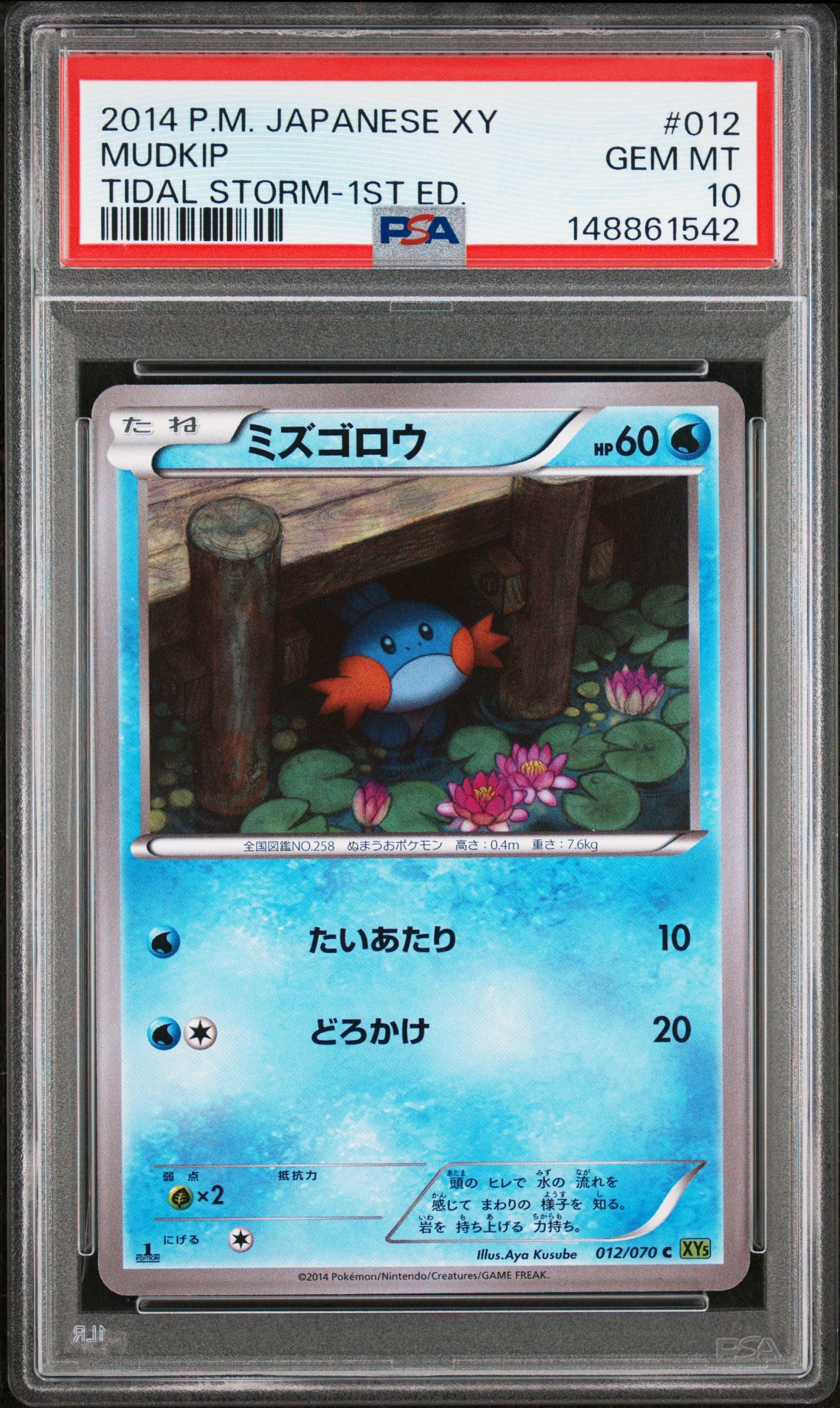 MUDKIP TIDAL STORM-1ST ED. - PSA Offer - #012 PSA 10