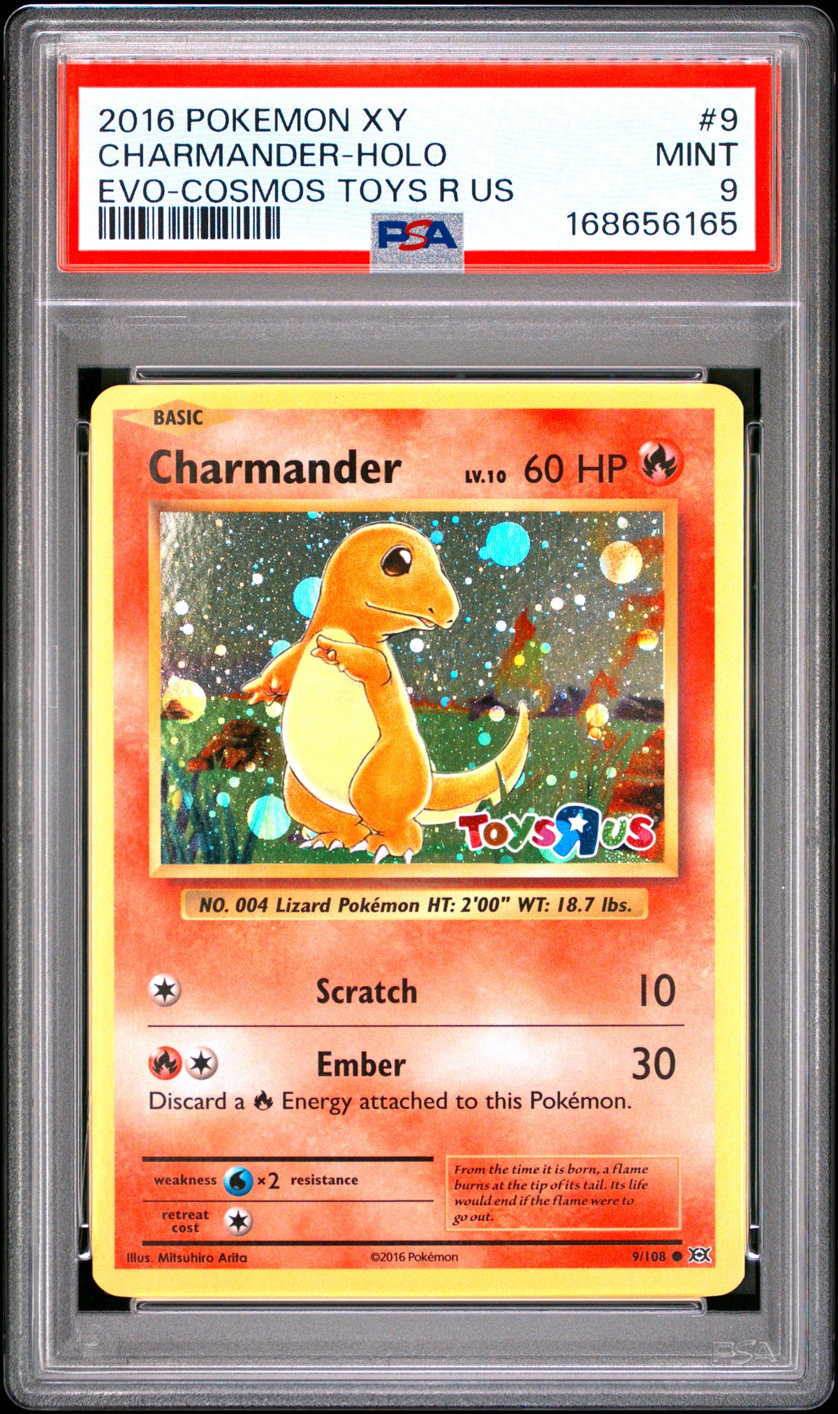 Charmander - Pokemon Evolutions #9 PSA 9