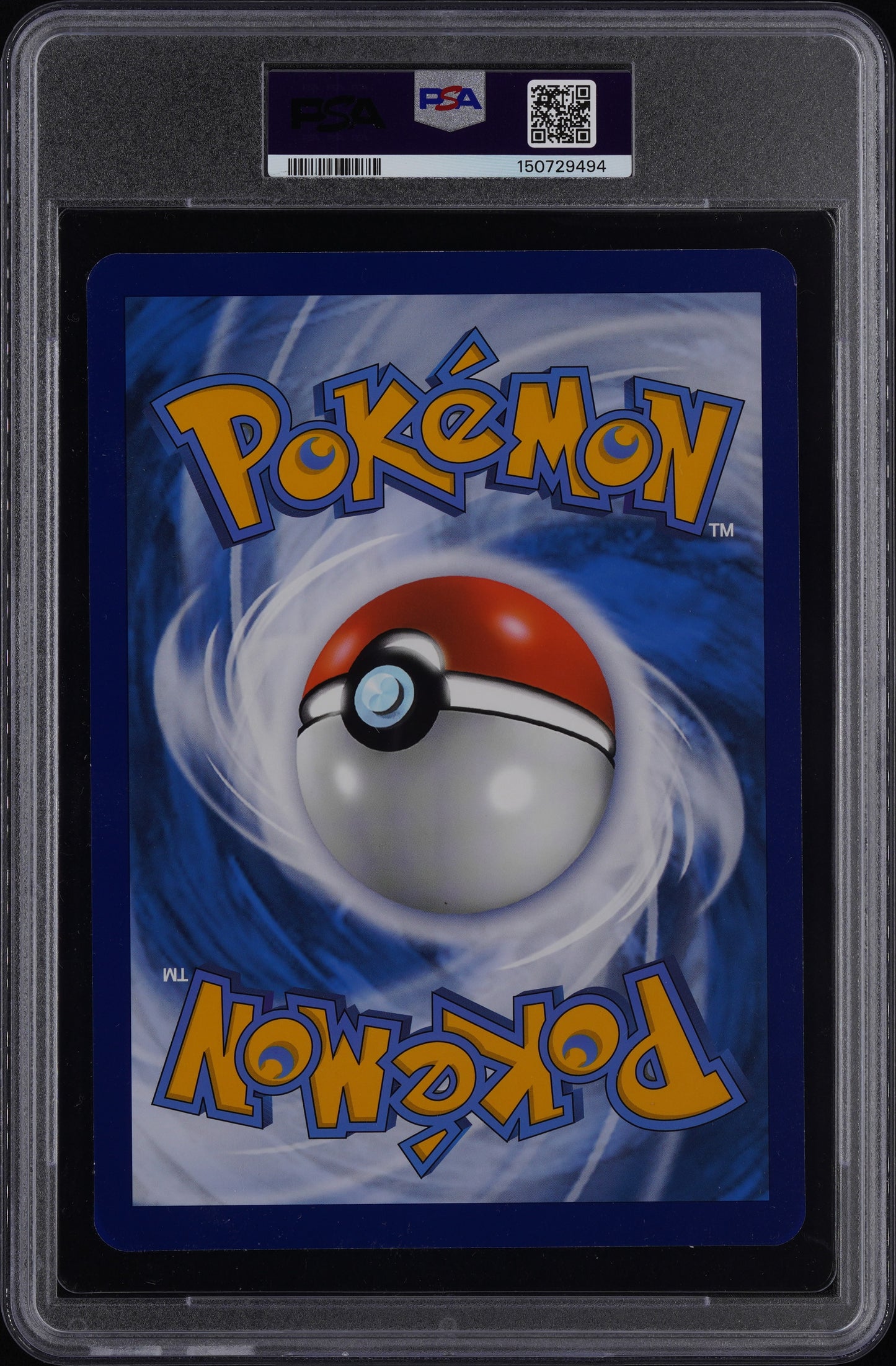 PIKACHU AT THE MUSEUM PKMN X NATURAL HISTORY-JMB - Pokemon Mega Evolution Promos PSA 8