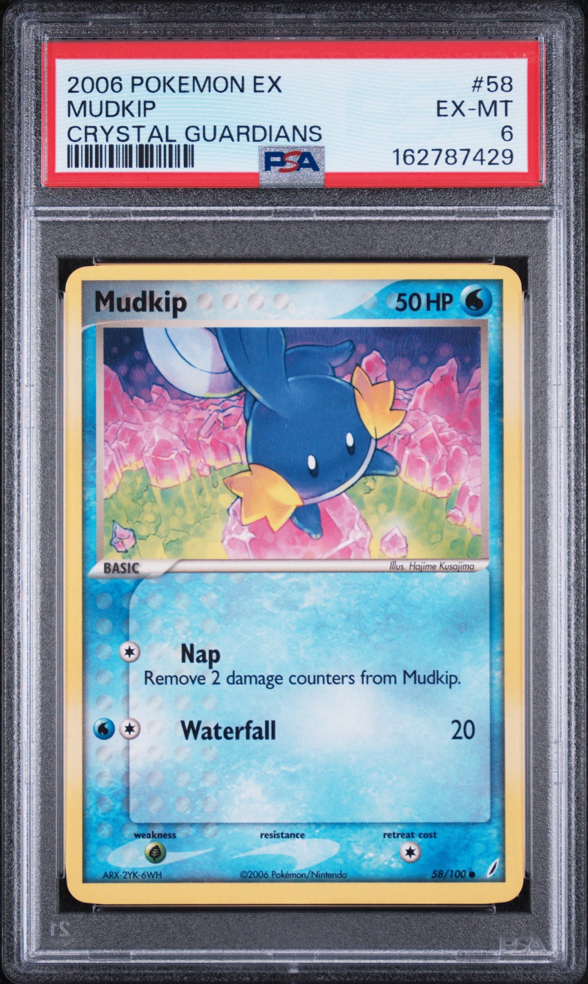 Mudkip - Pokemon Crystal Guardians #58 PSA 6