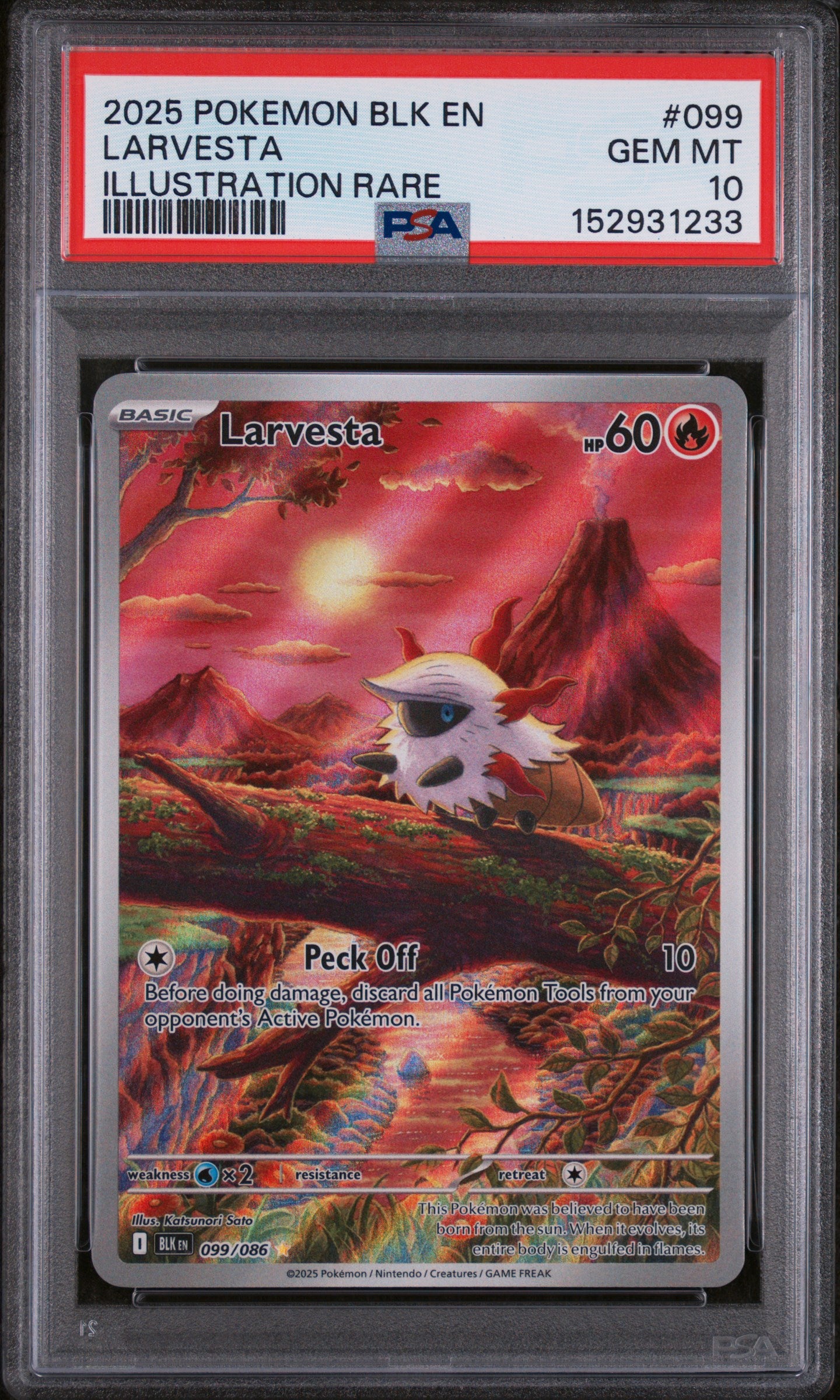 Larvesta - BLK EN-BLACK BOLT #099 PSA 10