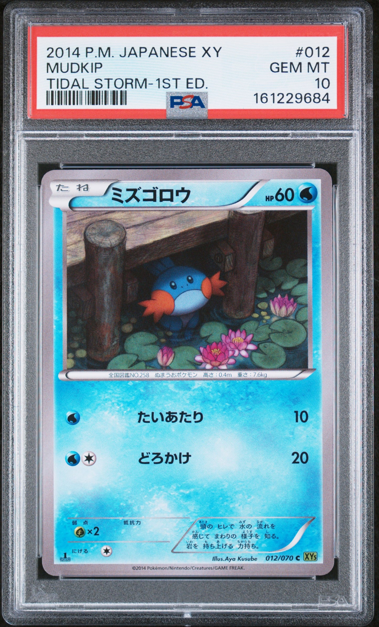 Mudkip [1st Edition] - Pokemon Japanese Tidal Storm #12 PSA 10