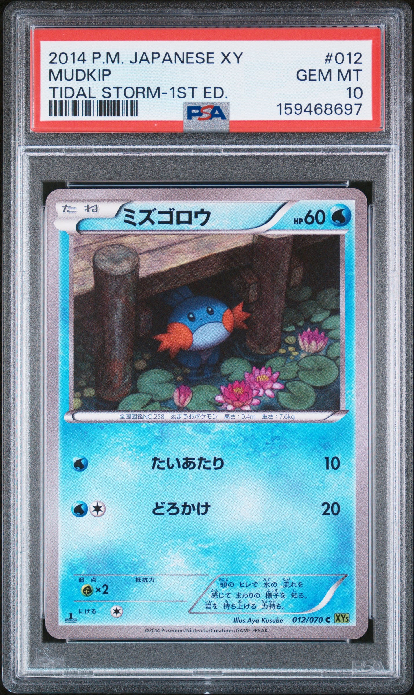 Mudkip [1st Edition] - Pokemon Japanese Tidal Storm #12 PSA 10