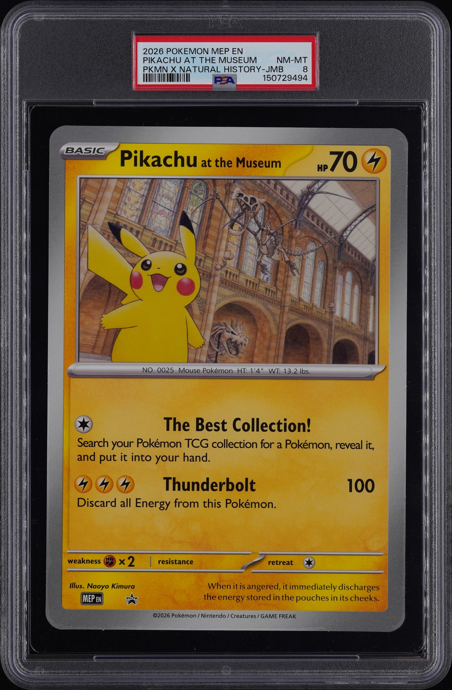 PIKACHU AT THE MUSEUM PKMN X NATURAL HISTORY-JMB - Pokemon Mega Evolution Promos PSA 8
