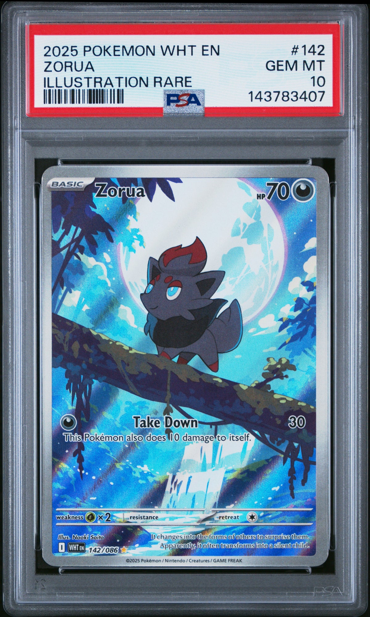Zorua - Pokemon Wht En-White Flare #142 PSA 10